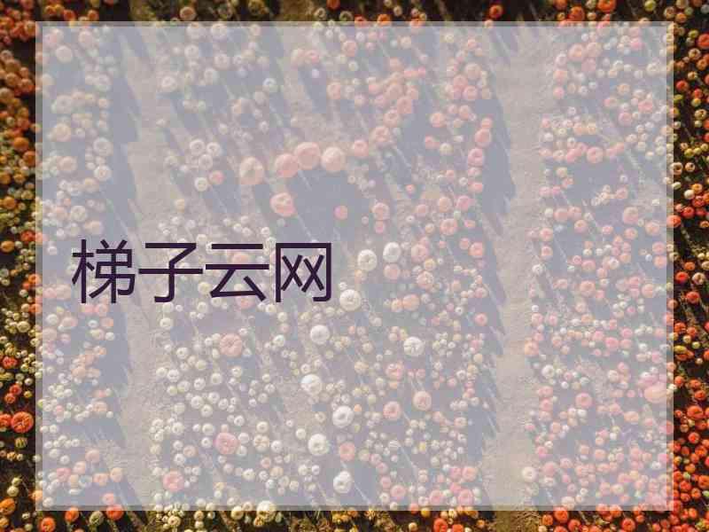 梯子云网