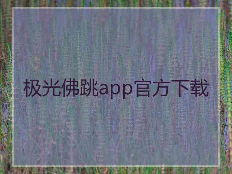 极光佛跳app官方下载