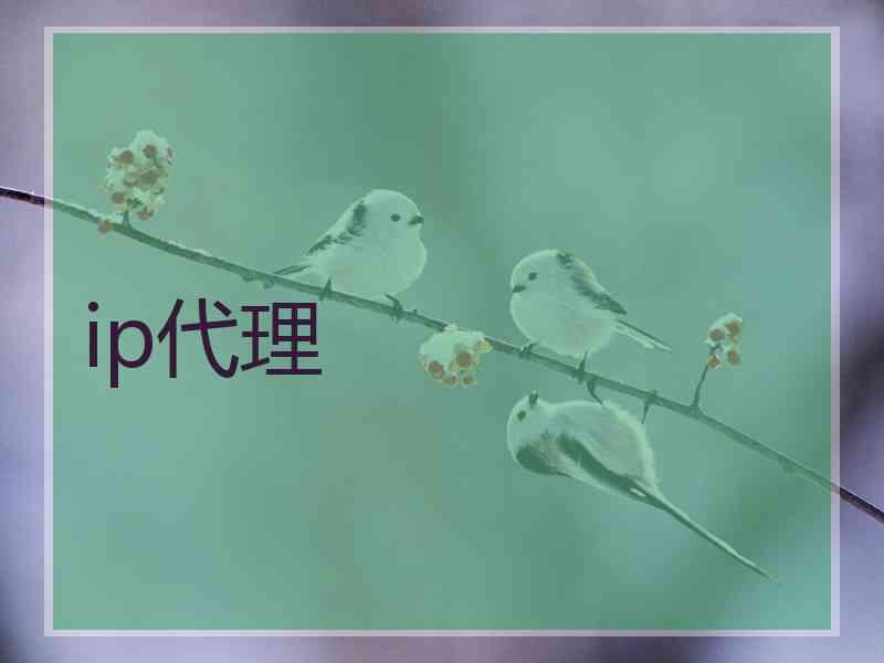 ip代理