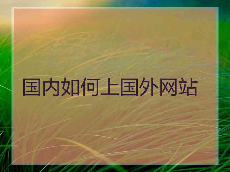 国内如何上国外网站