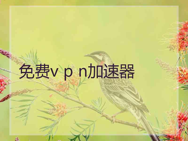 免费v p n加速器