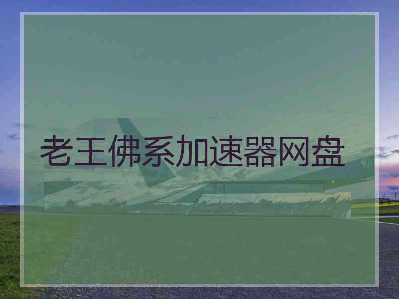 老王佛系加速器网盘