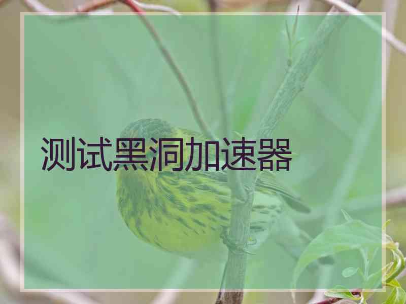 测试黑洞加速器
