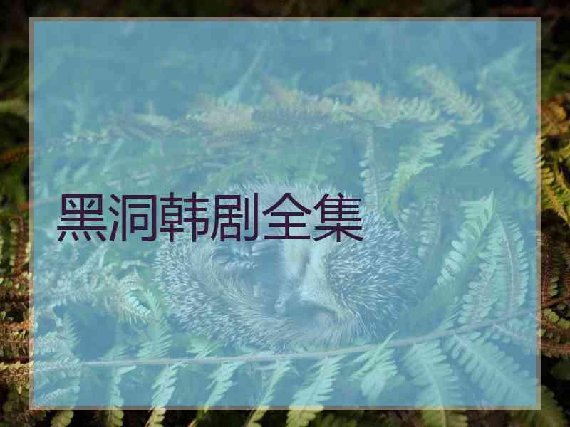 黑洞韩剧全集