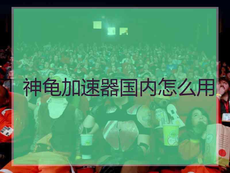 神龟加速器国内怎么用