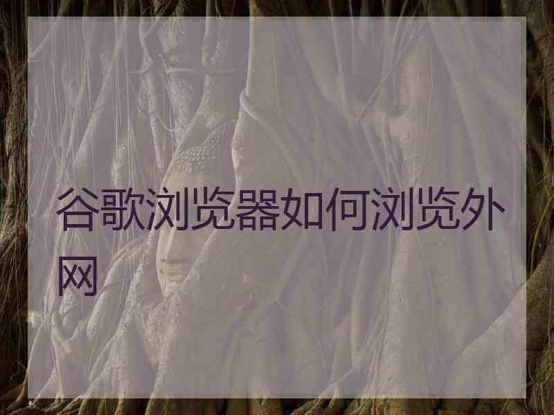 谷歌浏览器如何浏览外网