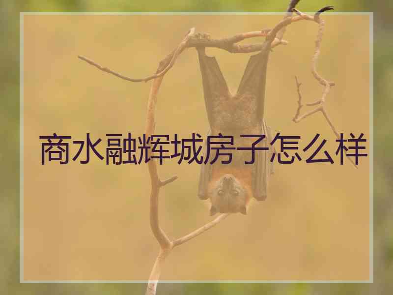 商水融辉城房子怎么样