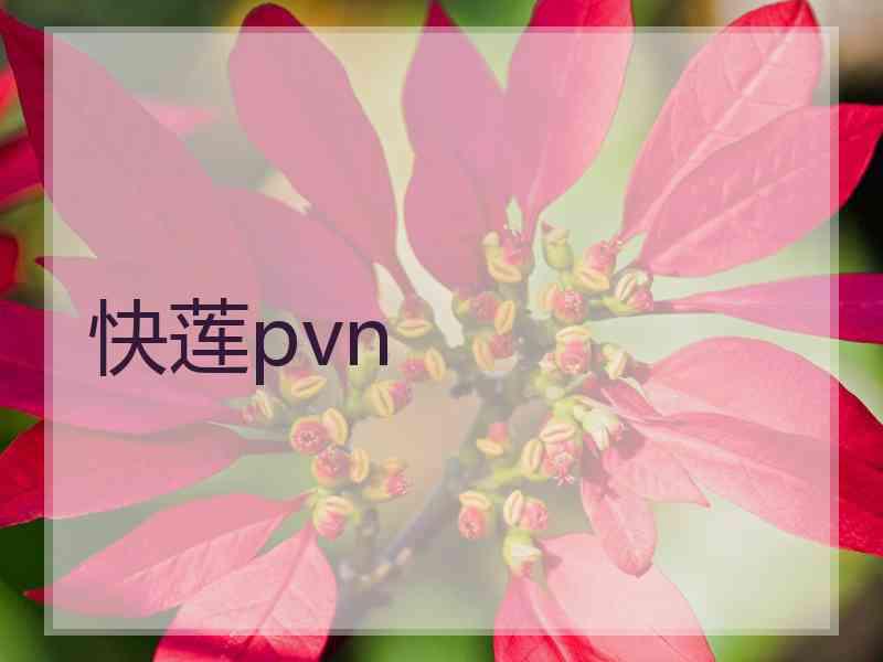 快莲pvn