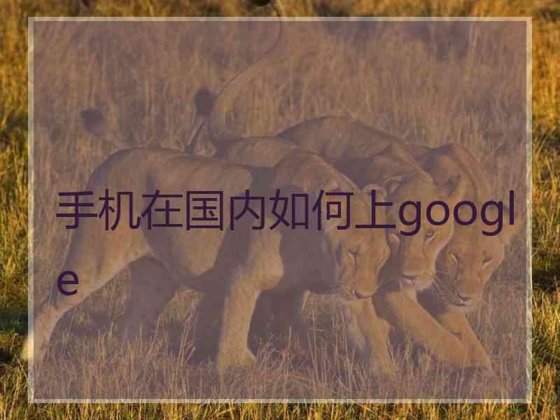 手机在国内如何上google