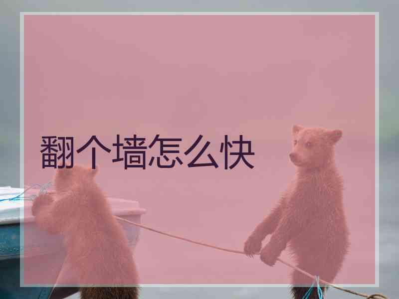 翻个墙怎么快