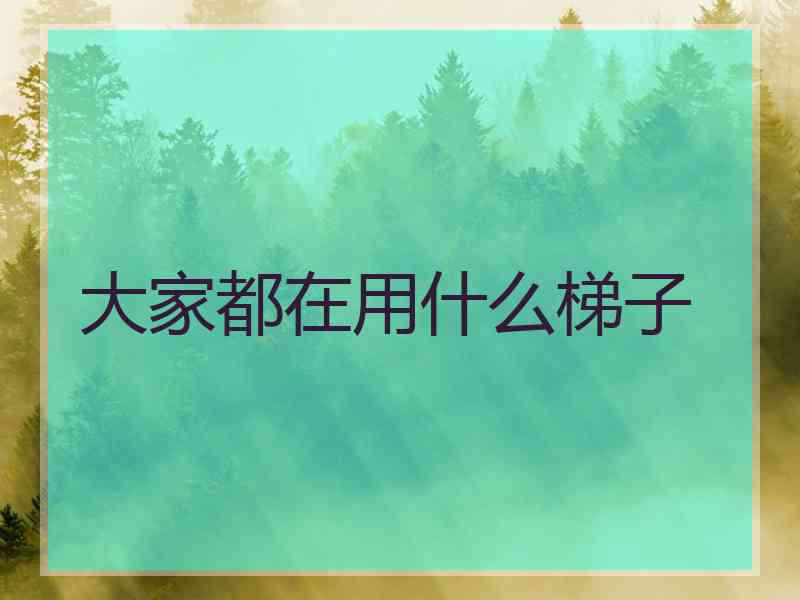 大家都在用什么梯子
