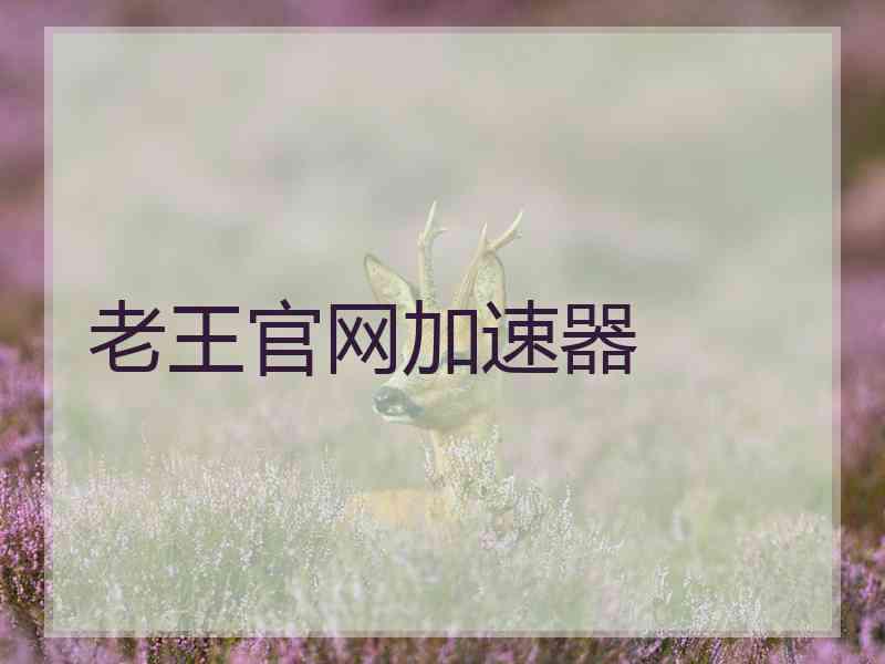 老王官网加速器