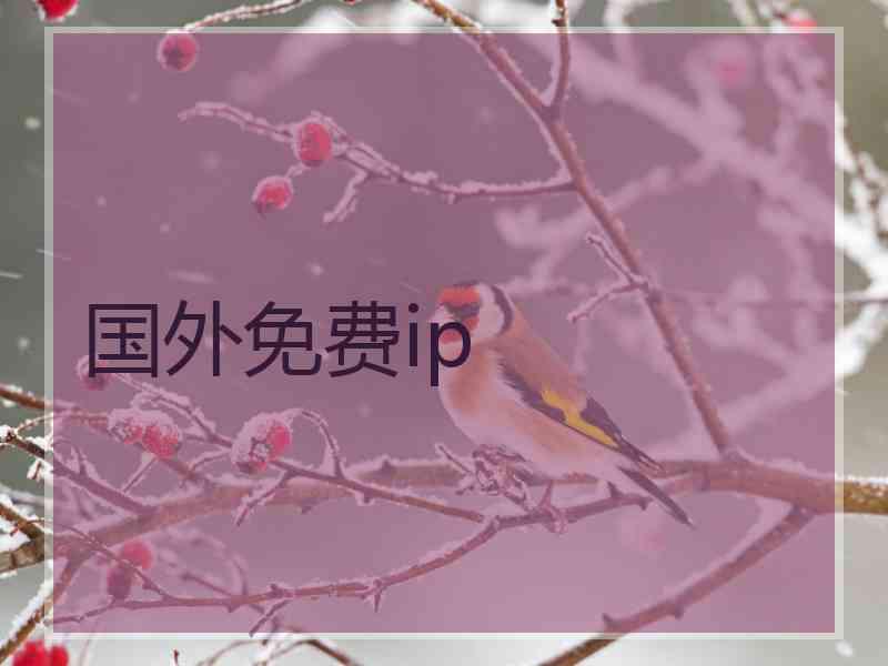 国外免费ip