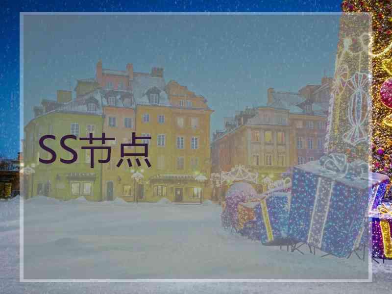 SS节点