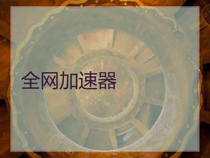 全网加速器