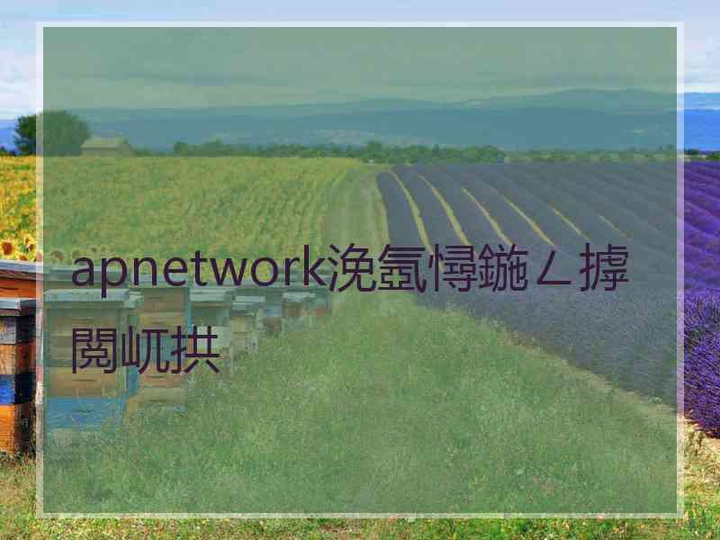 apnetwork浼氬憳鍦ㄥ摢閲屼拱