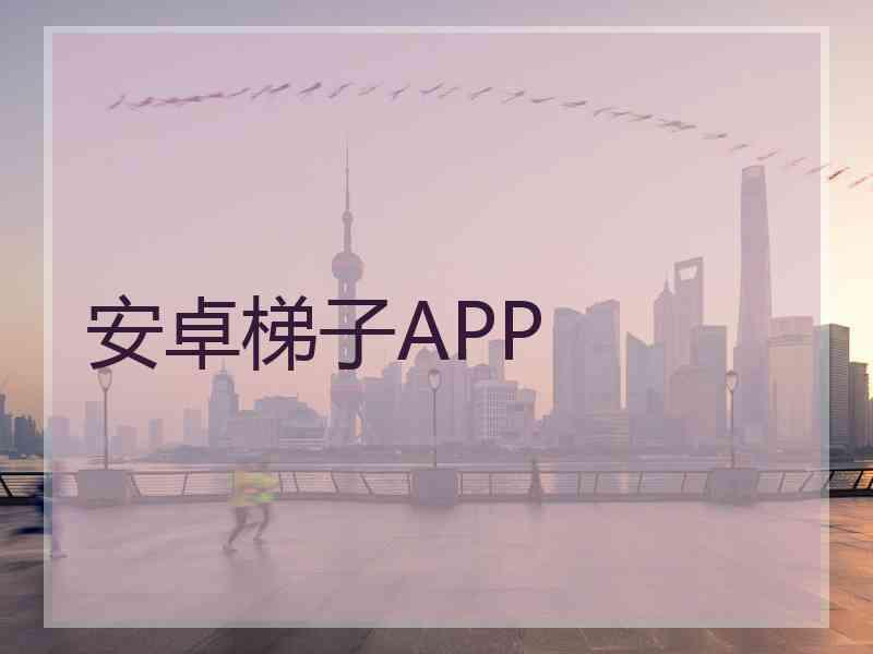 安卓梯子APP