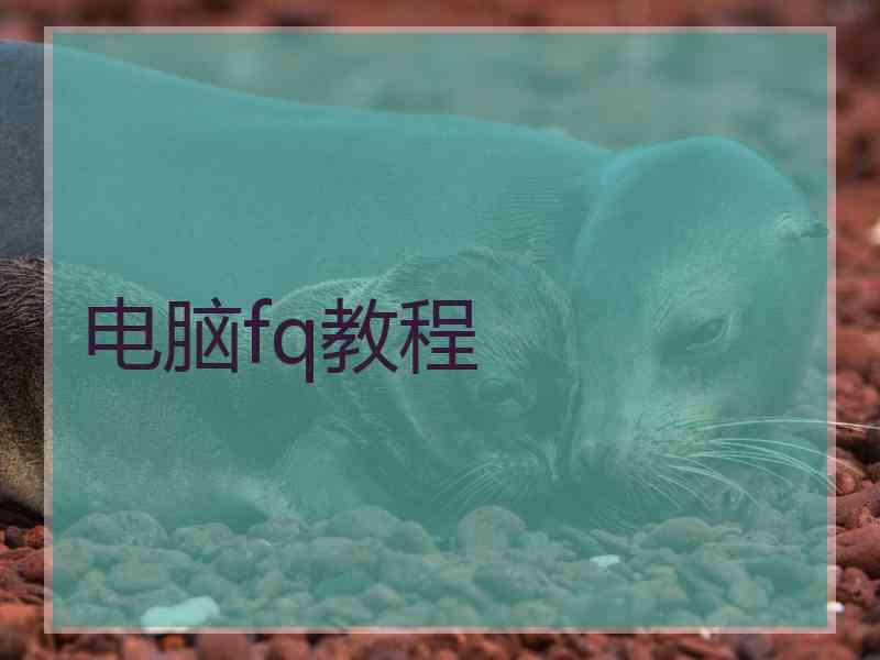 电脑fq教程