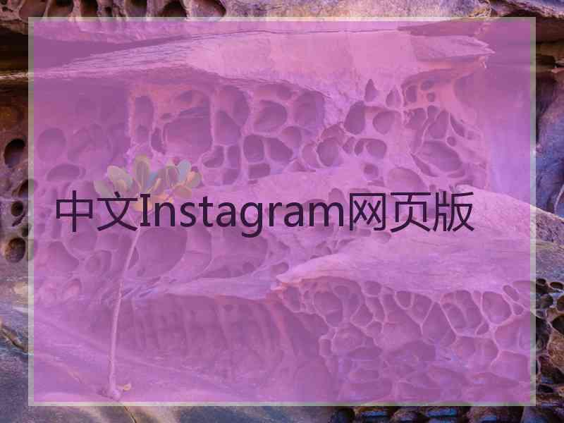 中文Instagram网页版
