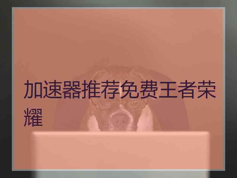 加速器推荐免费王者荣耀