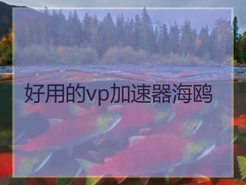 好用的vp加速器海鸥