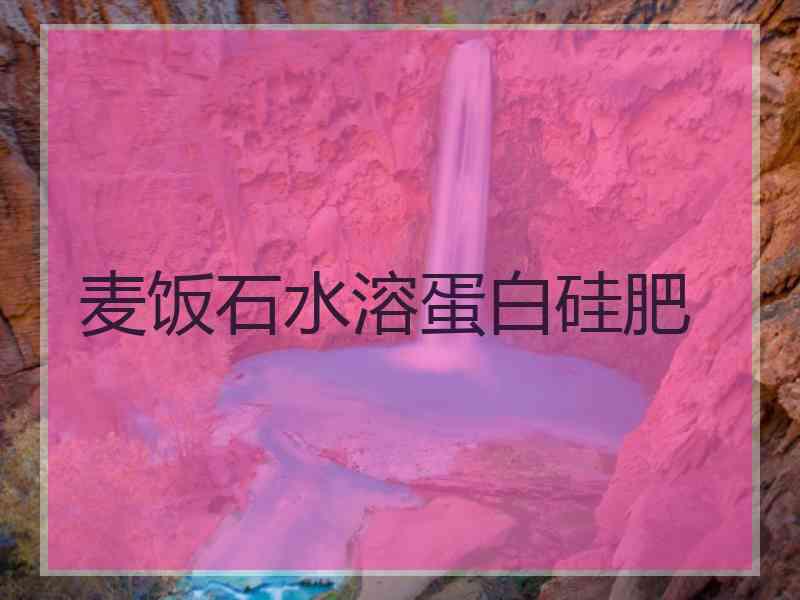 麦饭石水溶蛋白硅肥