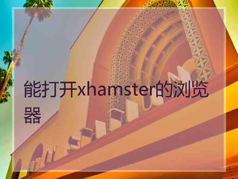 能打开xhamster的浏览器