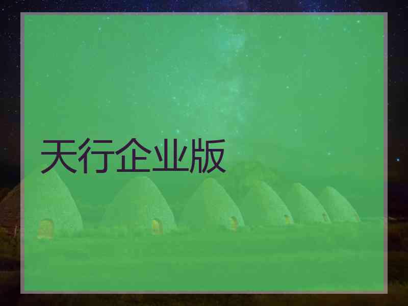 天行企业版