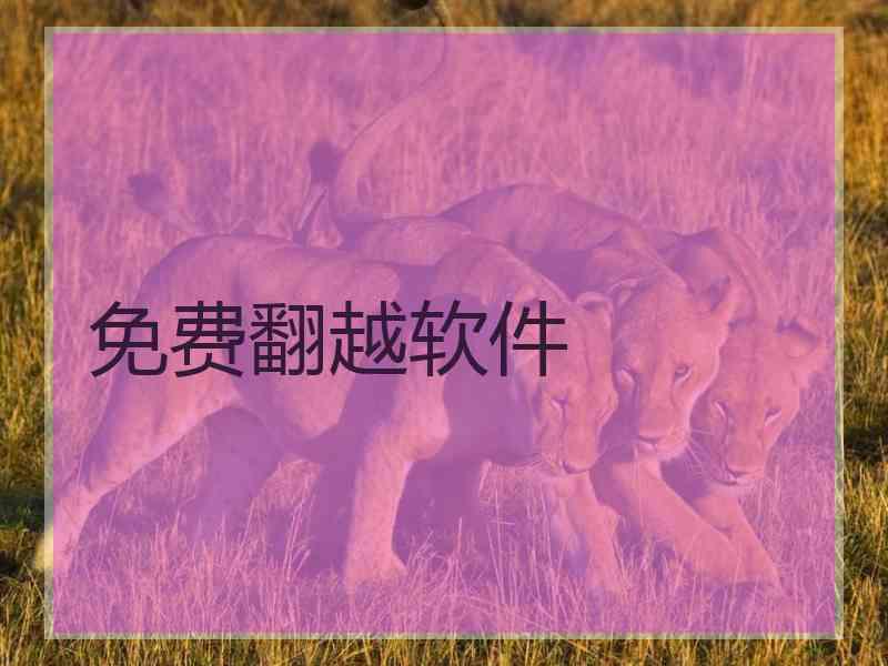 免费翻越软件