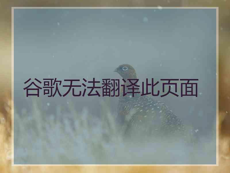谷歌无法翻译此页面