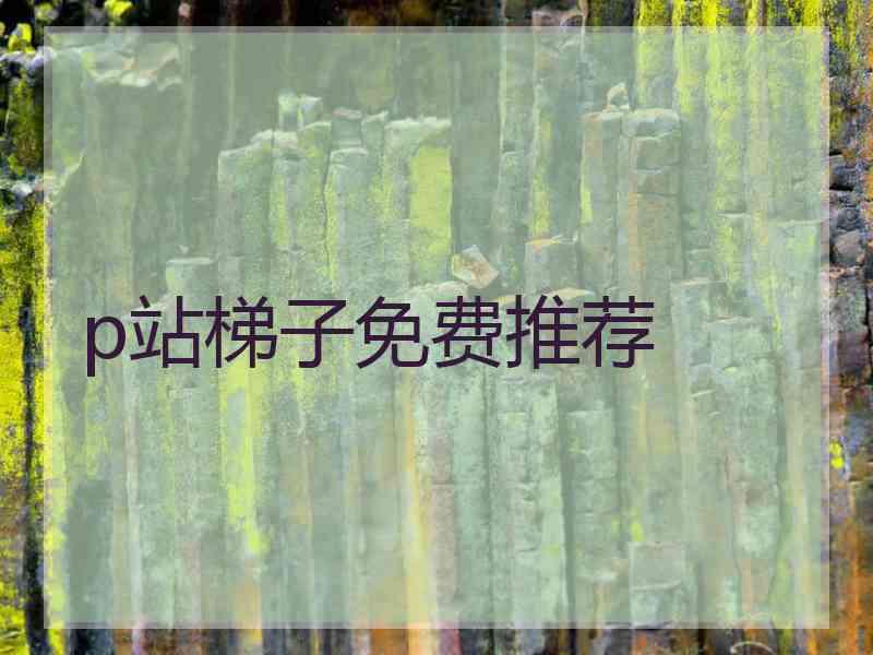 p站梯子免费推荐