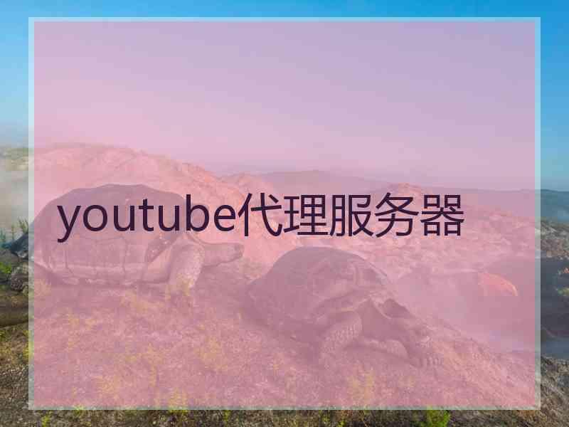 youtube代理服务器