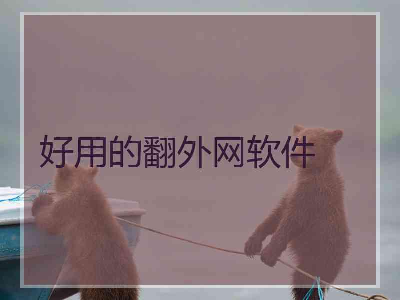 好用的翻外网软件