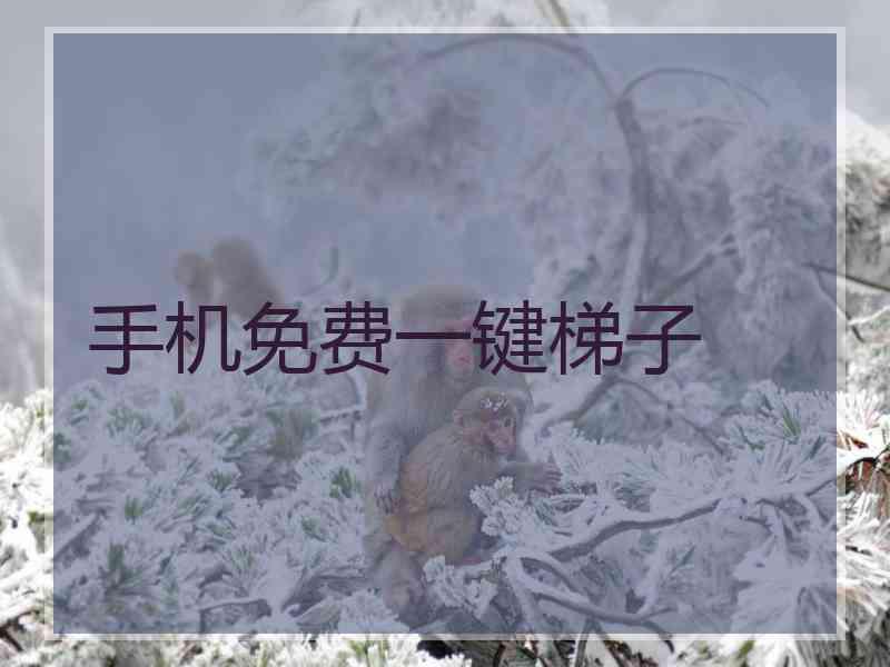 手机免费一键梯子