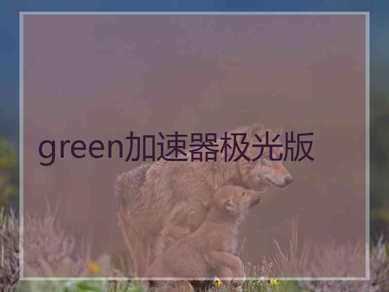 green加速器极光版