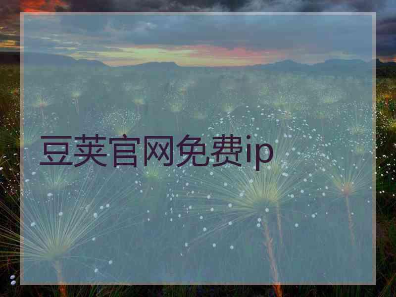 豆荚官网免费ip