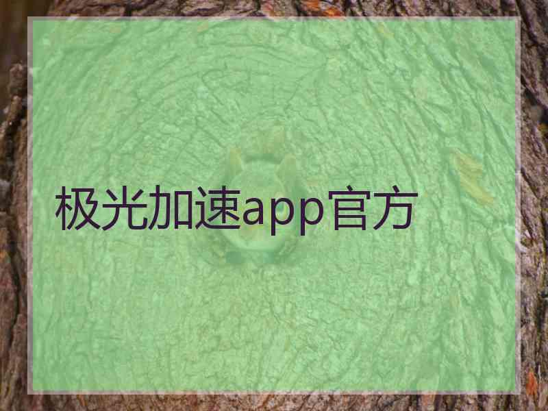 极光加速app官方