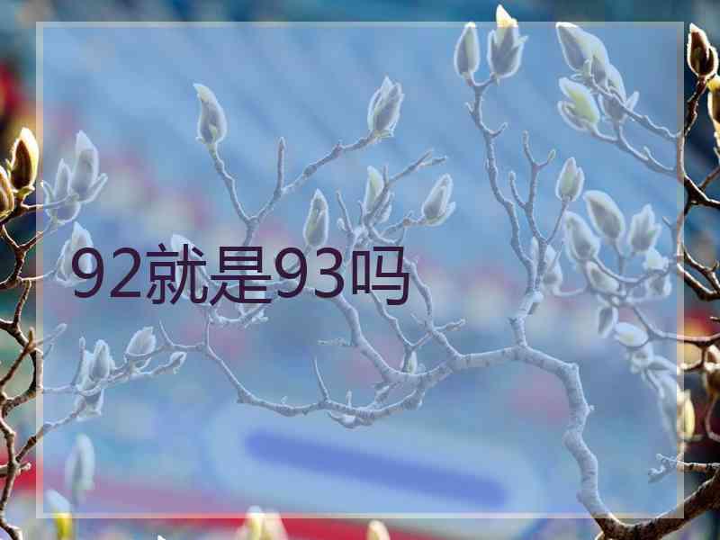 92就是93吗