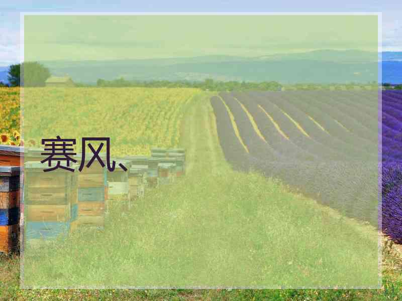赛风、