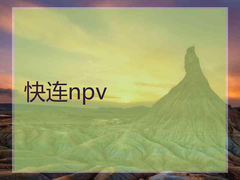 快连npv