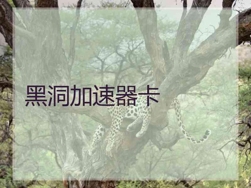 黑洞加速器卡