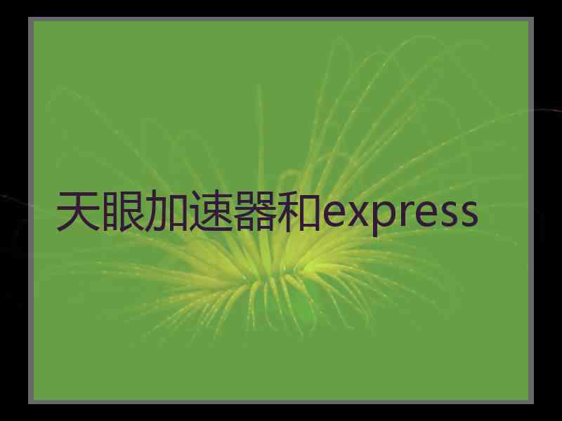 天眼加速器和express