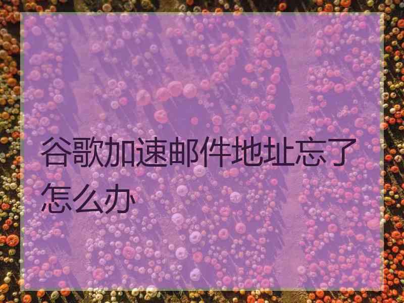 谷歌加速邮件地址忘了怎么办