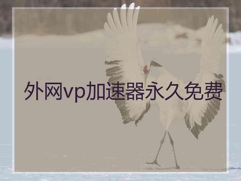 外网vp加速器永久免费