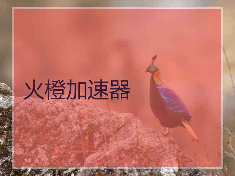 火橙加速器