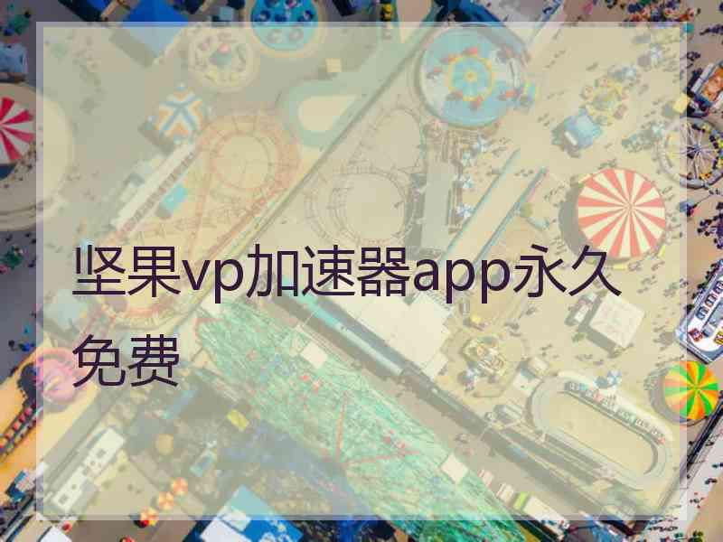 坚果vp加速器app永久免费