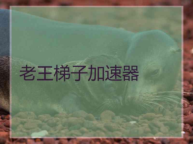 老王梯子加速器