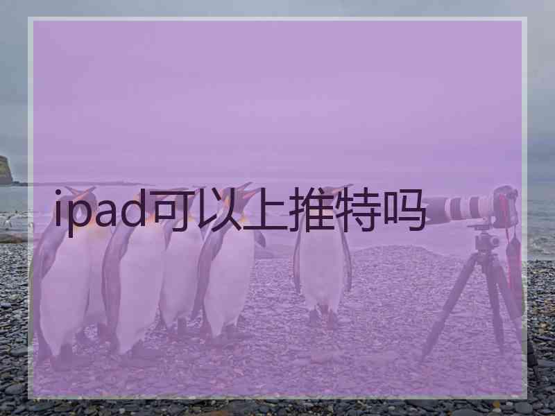 ipad可以上推特吗