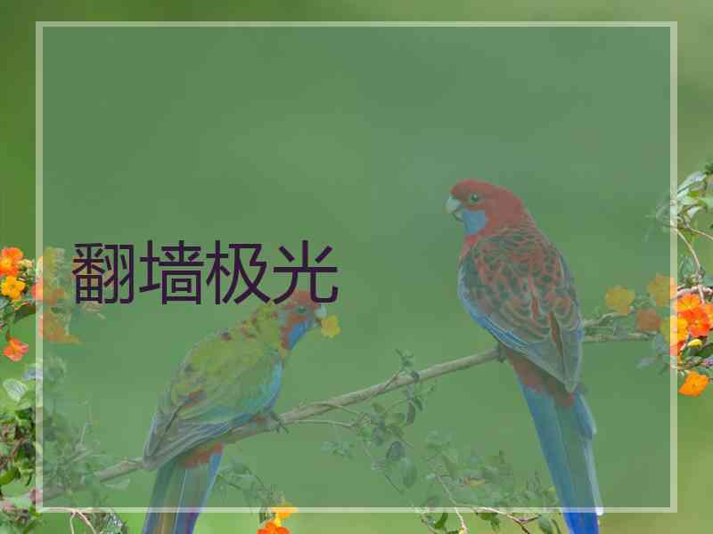 翻墙极光