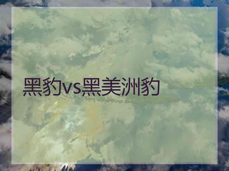 黑豹vs黑美洲豹
